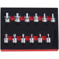 3/8" Drive E-Torx Socket Set 12 Piece